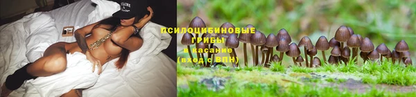 не бодяженный Алексин