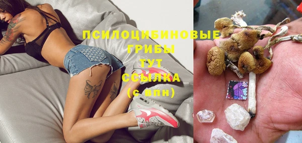 гидропоника Лабытнанги