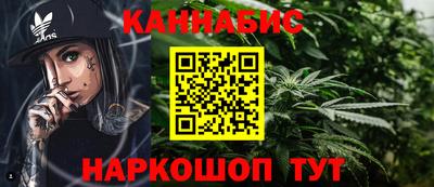 индика Заволжье