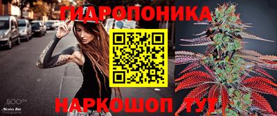 индика Заволжье