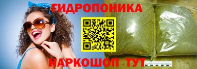 индика Заволжье