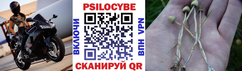 наркота Черкесск Псилоцибиновые грибы Magic Shrooms