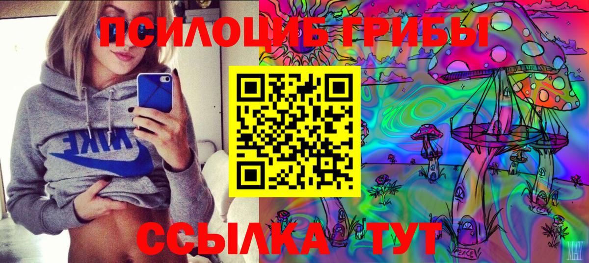 Черкесск  Галлюциногенные грибы MAGIC MUSHROOMS  Вход с VPN 